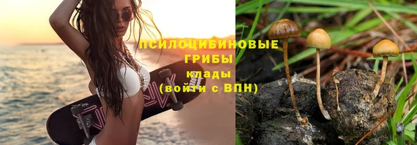 соль ск Волосово